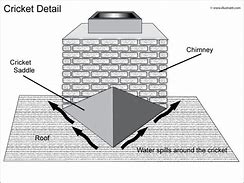 Image result for Chimney Cricket Cartoon