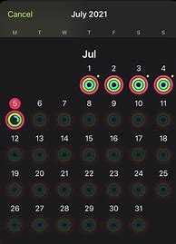 Image result for Apple Perfect Month Badge