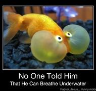 Image result for Funny Captions On Water