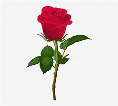 Image result for 1 Rose Emoji