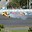 Image result for Daytona 500 Finish
