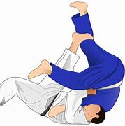 Image result for Jiu Jitsu Background