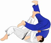 Image result for Judo Throw Clip Art