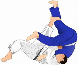 Image result for Judo PNG