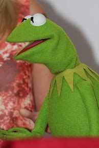 Image result for Kermit the Frog Puppet