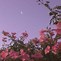 Image result for Dark Neon Pink Flowers Wallpaper