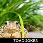 Image result for Cane Toad Joke