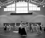 Image result for aikido