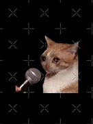 Image result for Crying Cat Microphone Meme