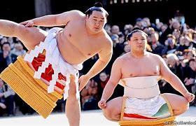 Image result for Sumo Wrestler Wardrobe