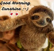 Image result for Good Morning Messages Funny Sloth