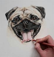 Image result for Dog Pencil Drawaing