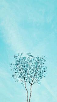 Image result for Apple iPhone Wallpaper Blue Flower