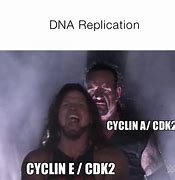Image result for DNA Replication Meme