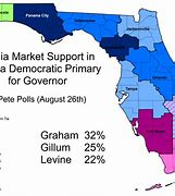 Image result for Florida Democratic Primary