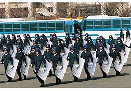 Image result for Japan Police