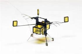 Image result for Bee Motor Robot