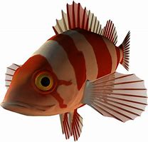 Image result for 100 Fish Clip Art