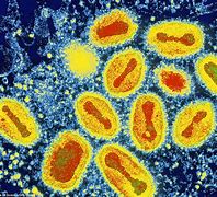 Image result for Samy Worm Virus