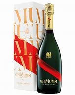 Image result for Mumm Champagne Carry Case