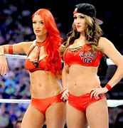 Image result for Indian WWE Fight Girls