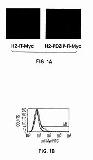 Image result for Senomyx Patent