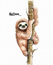 Image result for Sloth Design