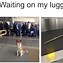 Image result for Dog Parent Memes