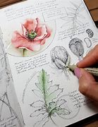 Image result for Botany Drawing Kit