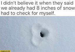 Image result for 8 Inches of Snow Funny