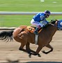 Image result for Beautiful Horse Racing Photography