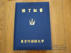 Image result for Tokyo International University Certificate