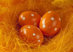 Image result for Easter Egg Nests