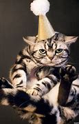 Image result for Cats Celebrating New Year's Eve