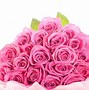 Image result for Pink Colour Flower Rose