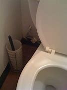 Image result for Toilet Overflow