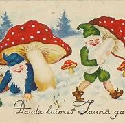Image result for Santa Claus Mushroom