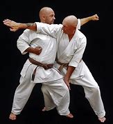 Image result for wado ryu martial arts