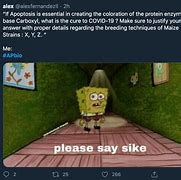 Image result for AP Class Memes