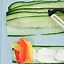 Image result for Cucumber Roll-Ups