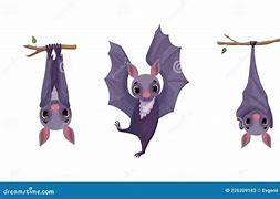 Image result for Purple Bat Animation