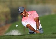 Image result for Tiger Woods New Golf Apparel