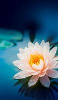 Image result for iOS 5 Lotus
