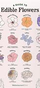 Image result for Edible Herbs and Flowers