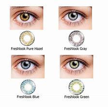 Image result for Daily Colored Contact Lenses