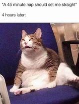 Image result for Napping Meme