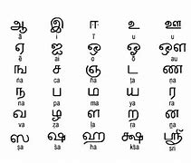 Image result for Write Up of Tamil Language