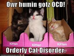 Image result for Funny OCD Memes
