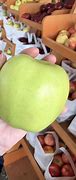 Image result for Sweetest Apples Chart