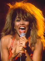 Image result for Tina Turner 80s